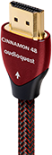Smart Accessories